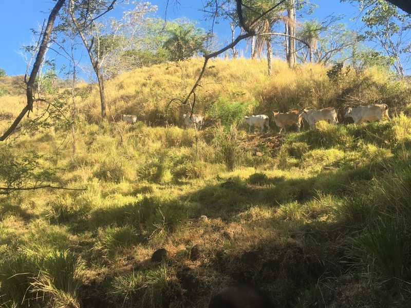 0 bed Land For Sale in Atenas, Alajuela - 1